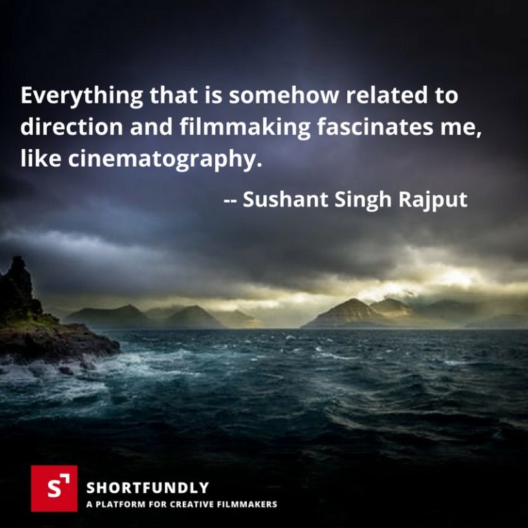 Piper Pixar Short Film What's Special In Pixar Short Film Piper?