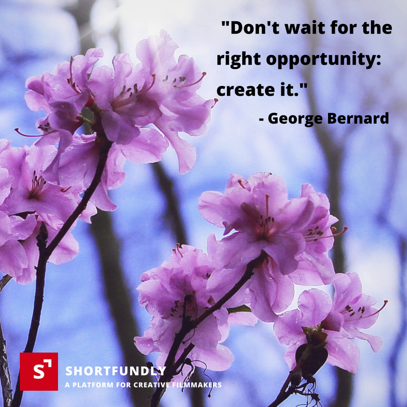 George Bernard Quotes