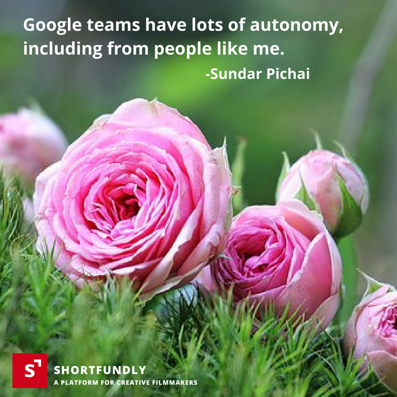 Sundar Pichai Motivational Quotes