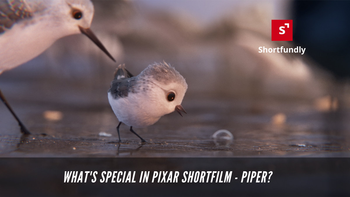 What's special in Pixar Shortfilm - Piper_