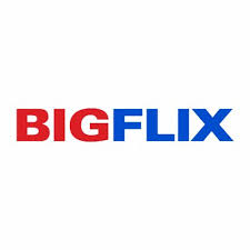 BigFlix Logo