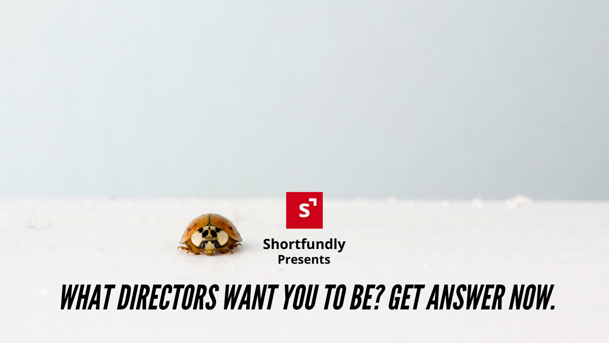 what directors want you to be_