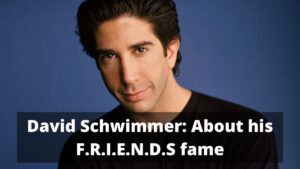 David Schwimmer About his fame