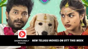 blog post poster shortfundly 17