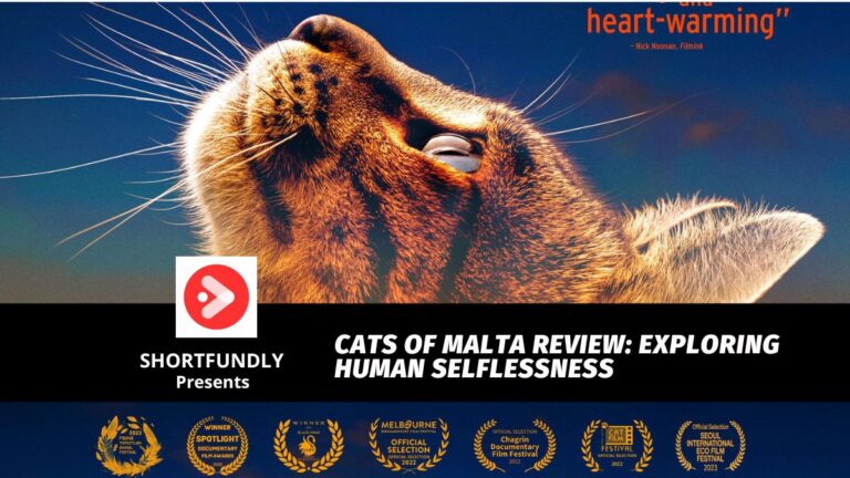 Cats of Malta Review: Exploring Human Selflessness